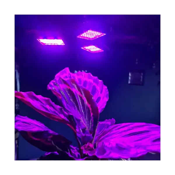 Gardlov 20440 108 LED augalų augimo lempa