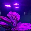 108 LED-kasvien kasvulamppu Gardlov 20440