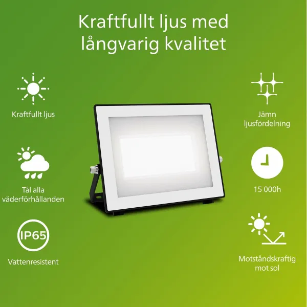 Valonheitin/projektorivalo Philips Musta 50 W F