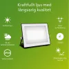Valonheitin/projektorivalo Philips Musta 50 W F
