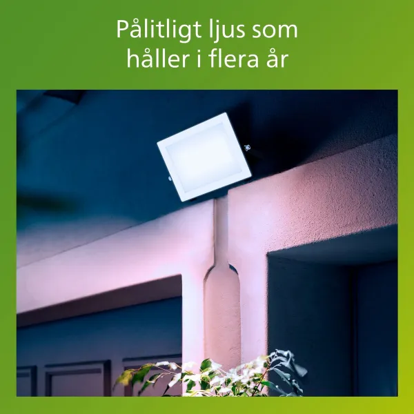 Valonheitin/projektorivalo Philips Musta 50 W F
