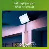 Valonheitin/projektorivalo Philips Musta 50 W F