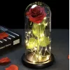 Rose in glass - luminous Malatec 21619