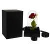 Rose in glass - luminous Malatec 21619