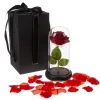 Rose in glass - luminous Malatec 21619