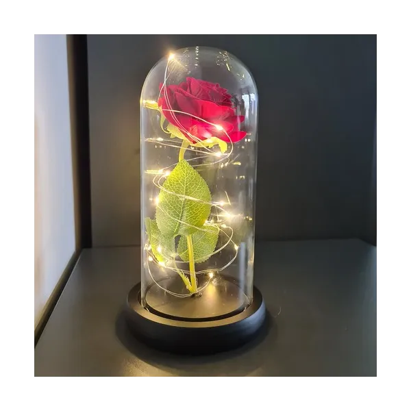 Rose in glass - luminous Malatec 21619