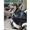 Dog Carrier for Seat Purlov 20973