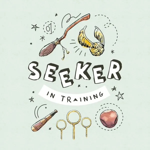 Nordic cover Harry Potter Seeker Multicolour 175 Threads 140 x 200 cm Single