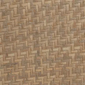 Cat Feeder Rotho Beige Plastic