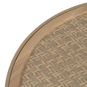 Cat Feeder Rotho Beige Plastic