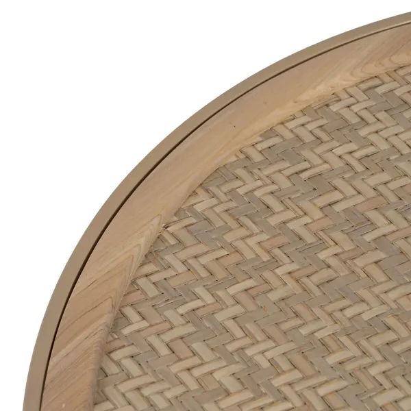 Cat Feeder Rotho Beige Plastic