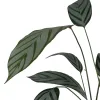 Top sheet Happy Home MIX COLORS Green Super king
