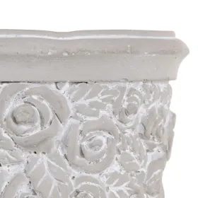 Fodder Petitto Chicken Rice 500 g