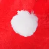 CA1036 SANTA HAT 30X36 CM