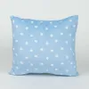 Cushion Bluey