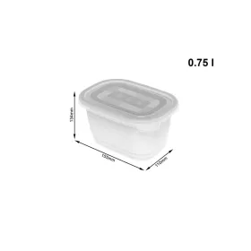 Nylon Cable Ties Fischer BN Natural 28 cm (100 Units)