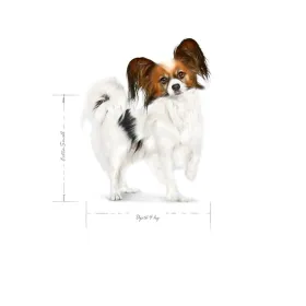 Cat food Bozita Kitten Grain Chicken 2 Kg