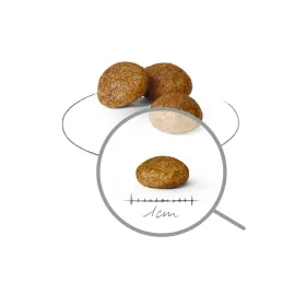 Cat food Josera Naturelle Adult Fish 10 kg