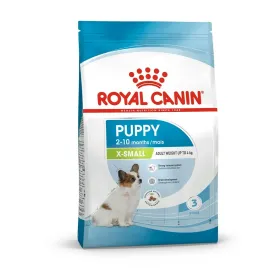Cat food Royal Canin British Shorthair Chicken 400 g