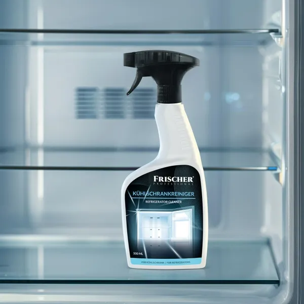 Dehumidifier N'oveen DH300 22,5 W 500 ml
