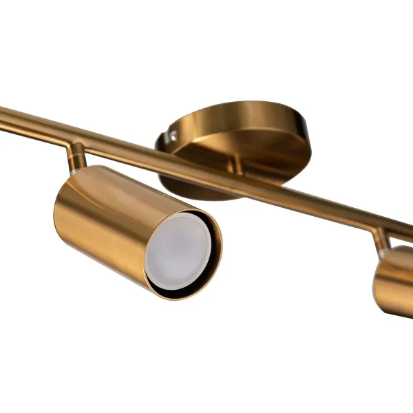 Dog Coat Looney Tunes Multicolour