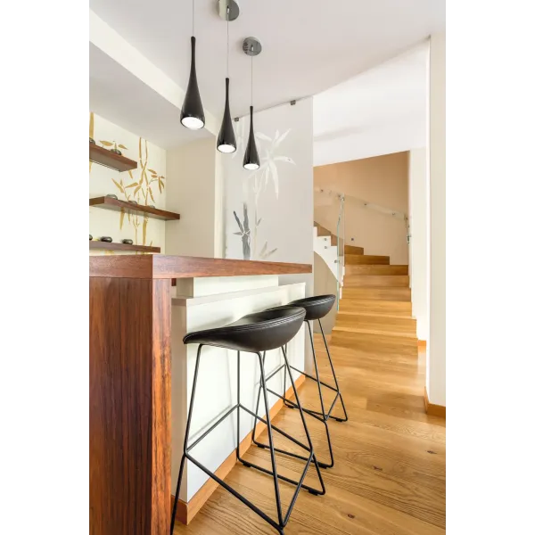 LED light source RAPIDv2 LED