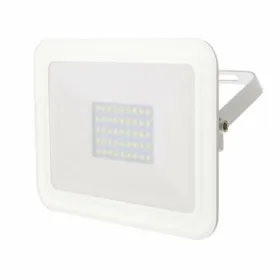 Прожектор Iglux 951230-F 30 W 2400 Lm (5500 K)