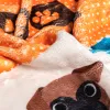 Одеяло HappyFriday Mr Fox Dogs Разноцветный Микрофибра 110 x 140 cm (Пёс)