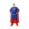 Costume for Adults Blue Comic Hero