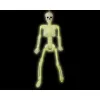 Halloween Decorations Skeleton 82 cm White