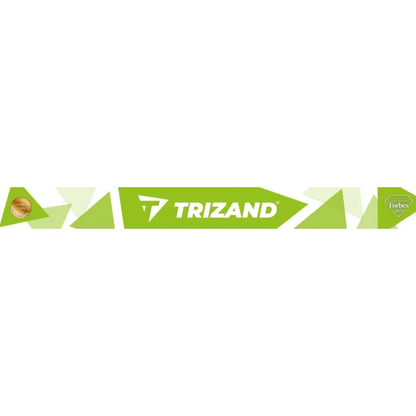 Darts set 12pcs + accessories Trizand 21629