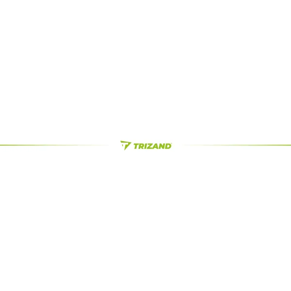 Darts set 12pcs + accessories Trizand 21629