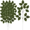 Tekolehdet 47 cm - 12 kpl:n setti Gardlov 22557