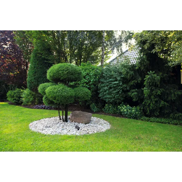 Garden light fitting with replaceable light source VORA