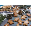 Christmas tree lights 20 LED Springos CL0026 battery operated