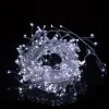 Dekoratiivlambid 300 LED-juhtmega külm valge 3m