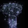 CL0102 DECORATIVE LIGHTING 100 LEDs