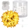 Christmas Lights Springos CL0179, 50 LEDs