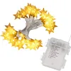 Joulukoristevalot Springos CL0179, 50 LED