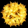 Jõulutuled Springos CL0179, 50 LED