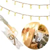 Decorative String Lights Springos CL4132 20 LED