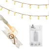Decorative String Lights Springos CL4132 20 LED