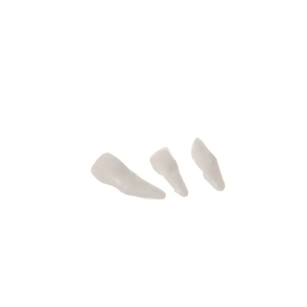 Cilvēka skelets - 170 cm Malatec 22583