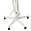 Cilvēka skelets - 170 cm Malatec 22583
