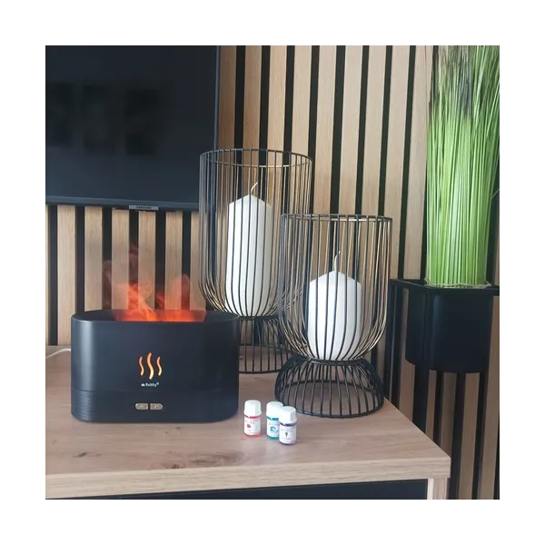 Fragrance diffuser-humidifier 180ml Ruhhy 22542