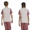 Lasten Lyhythihainen paita Adidas Essentials Big Logo Colorblock