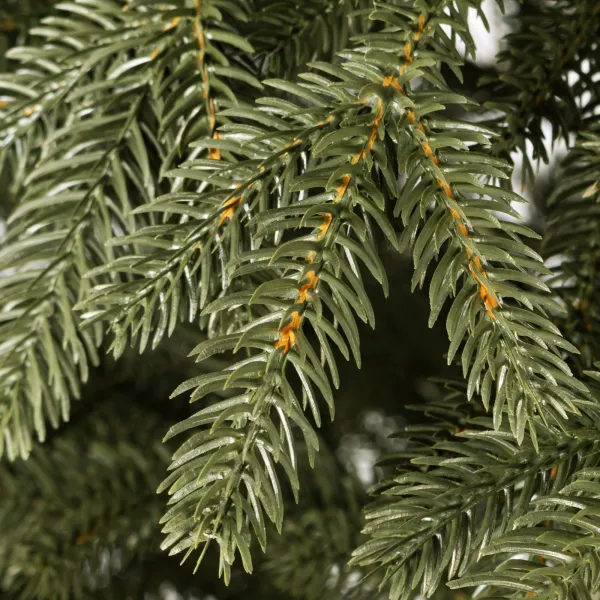 Joulukuusi Springos CT0147 150cm