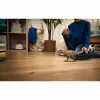 Сочлененная фигура Schleich Carcharodontosaurus