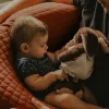 Breastfeeding Cushion Béaba Degtas molis