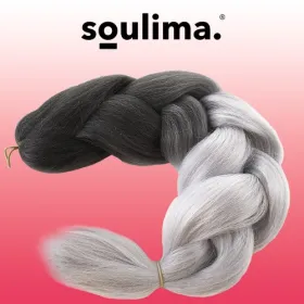 Synthetic hair ombre braids sz/sz W10345